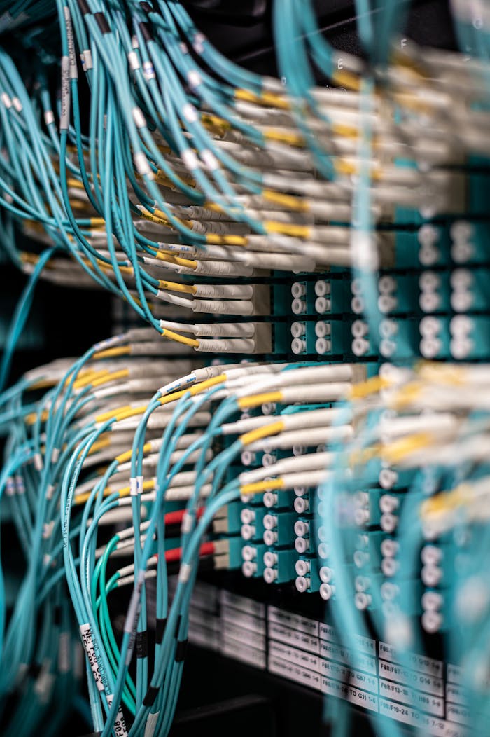 Rows of blue cables and wires plugged into server patch panel located in modern data center framework